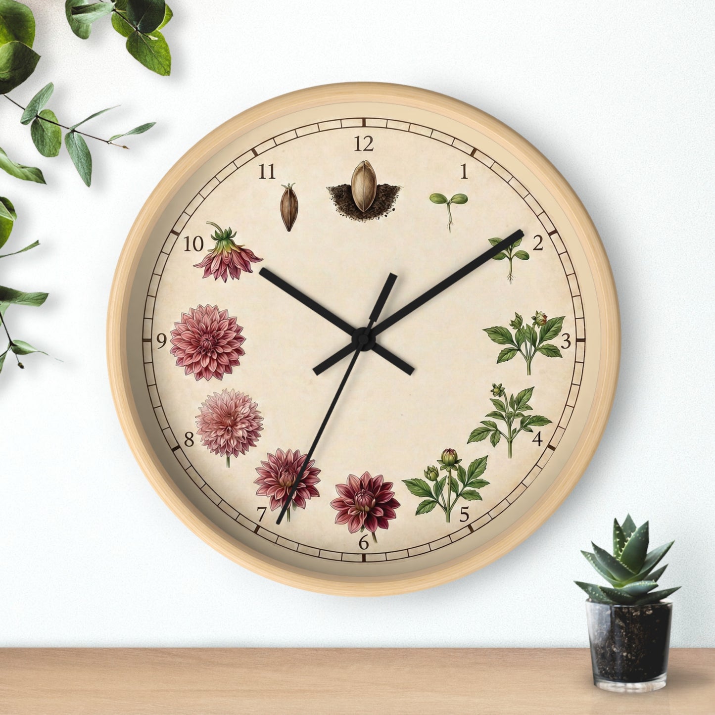 Vintage Botanical Dahlia Clock | Floral Wall Clock, Seed to Bloom Illustration