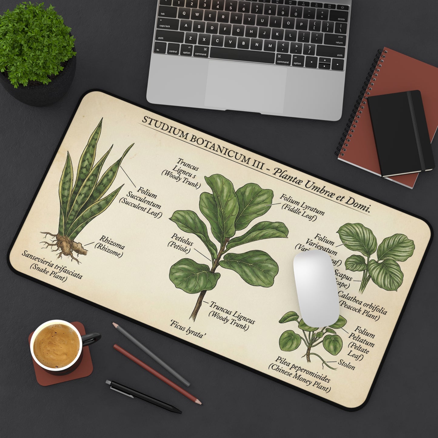 Vintage Botanical Plant Illustration Desk Mat | Calathea | Ficus | Snake Plant | Chinese Money Plant