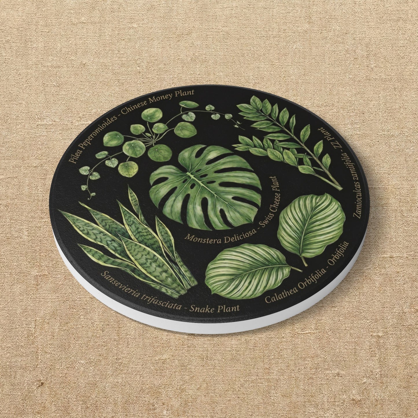 Tropical Houseplants Ceramic Coaster | Monstera, Snake Plant, Pilea, ZZ Plant