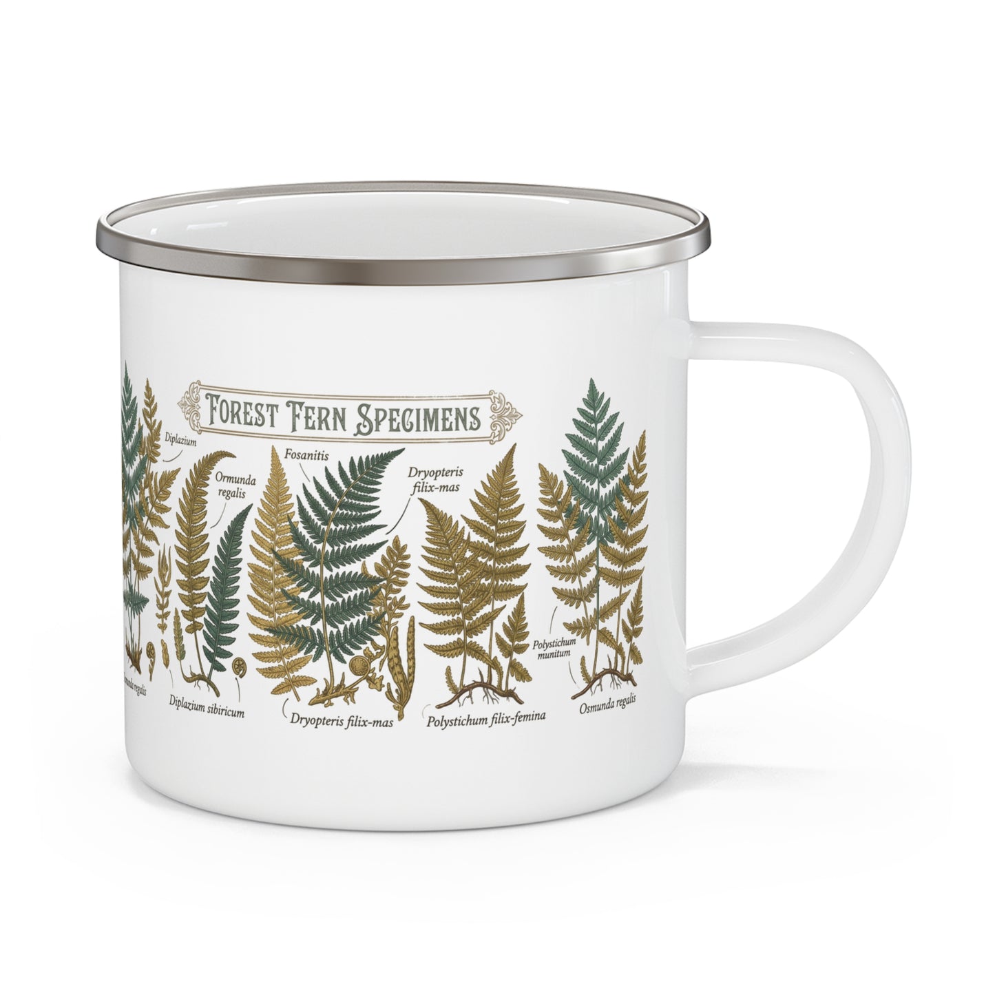 Forest Fern Specimens Enamel Camping Mug | Botanical Fern Illustration