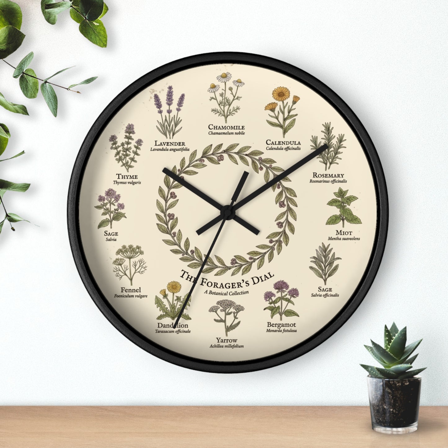 Forager's Dial Botanical Herb Illustration Wall Clock | Lavender, Chamomile, Rosemary