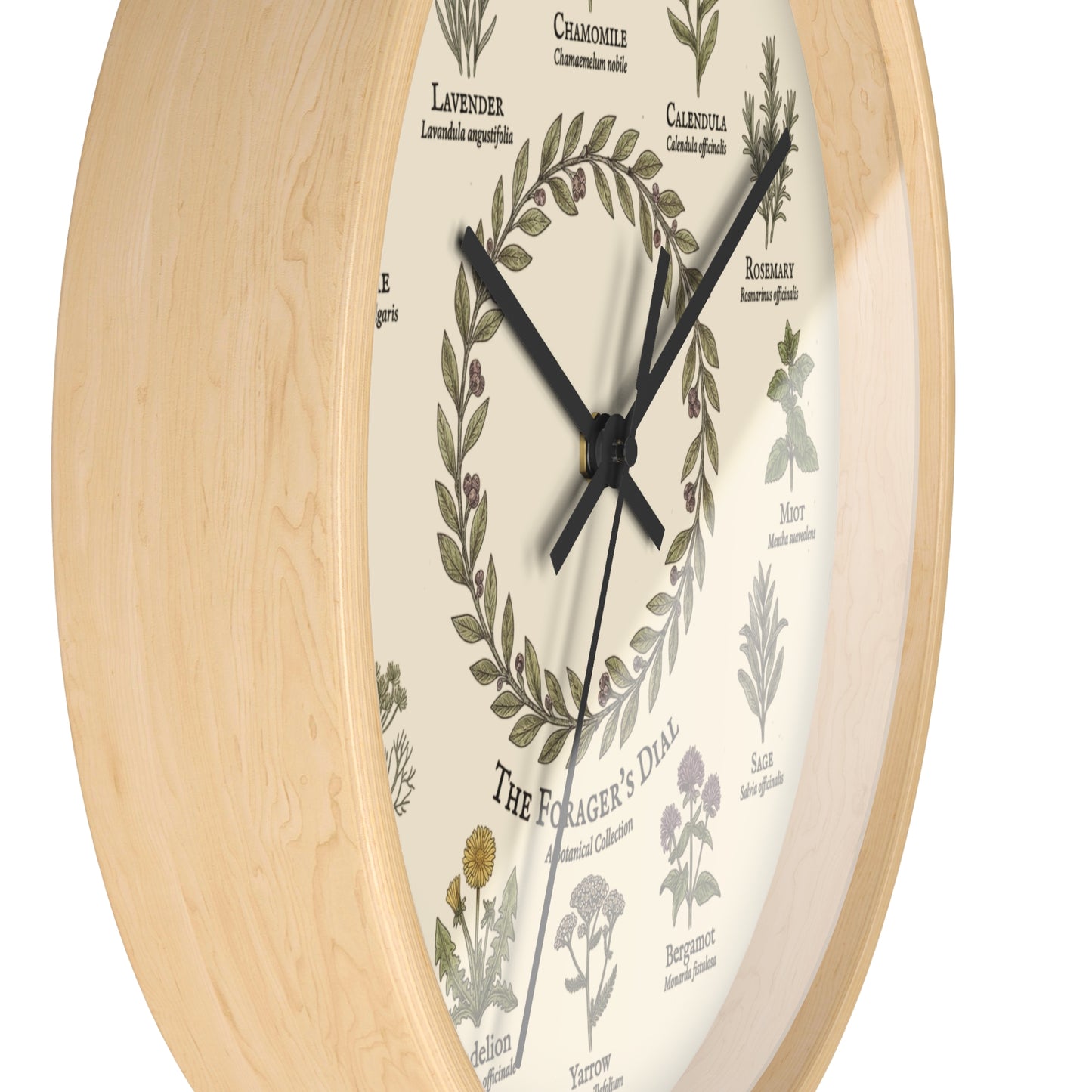 Forager's Dial Botanical Herb Illustration Wall Clock | Lavender, Chamomile, Rosemary