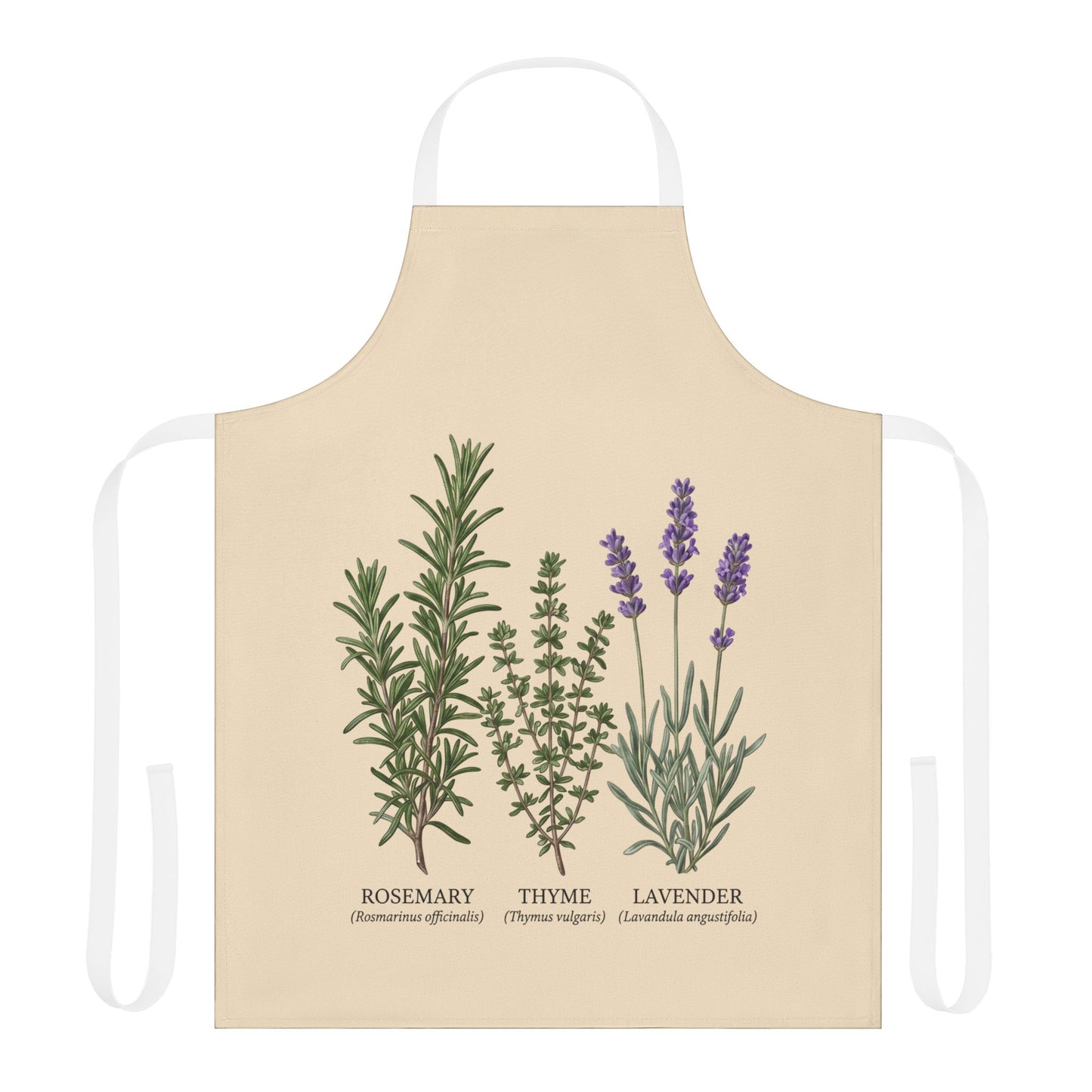 Rosemary Thyme Lavender Apron | Kitchen Herbs Illustration