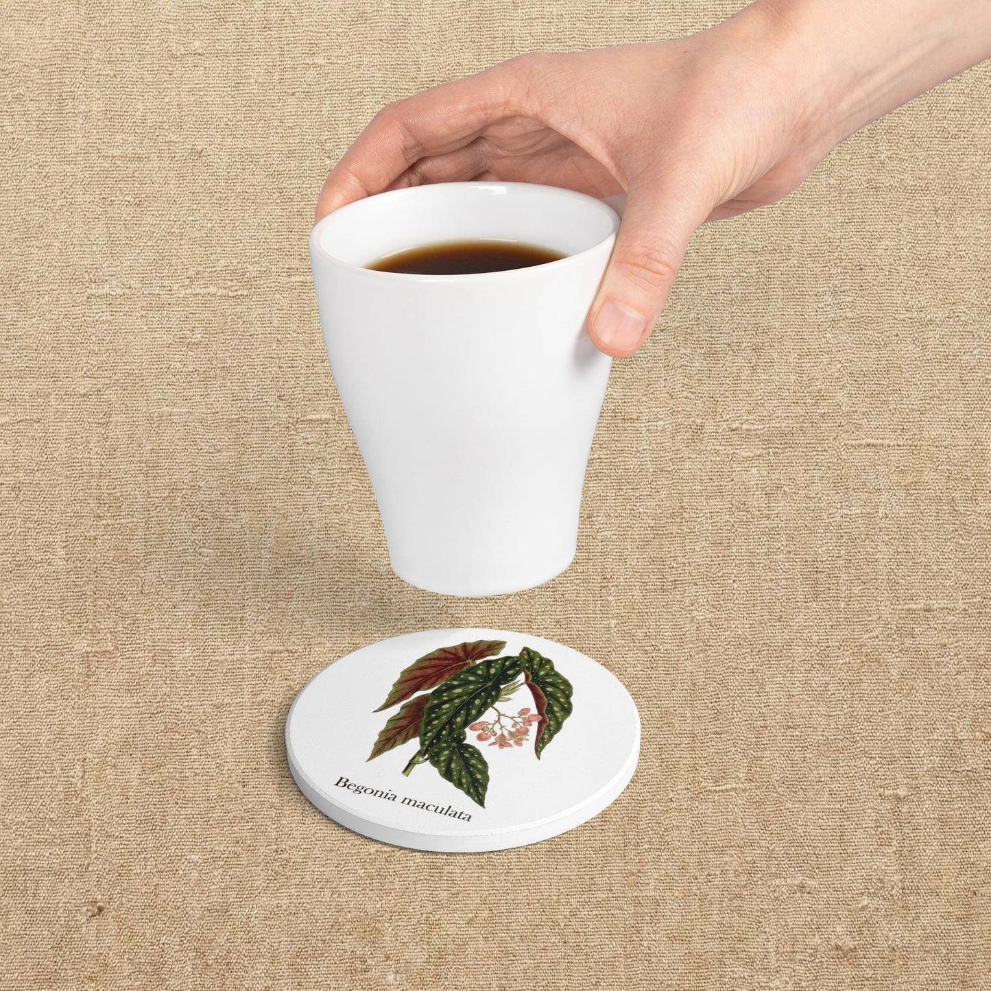 Begonia Maculata Plant Illustration Ceramic Coaster | Botanical Coaster