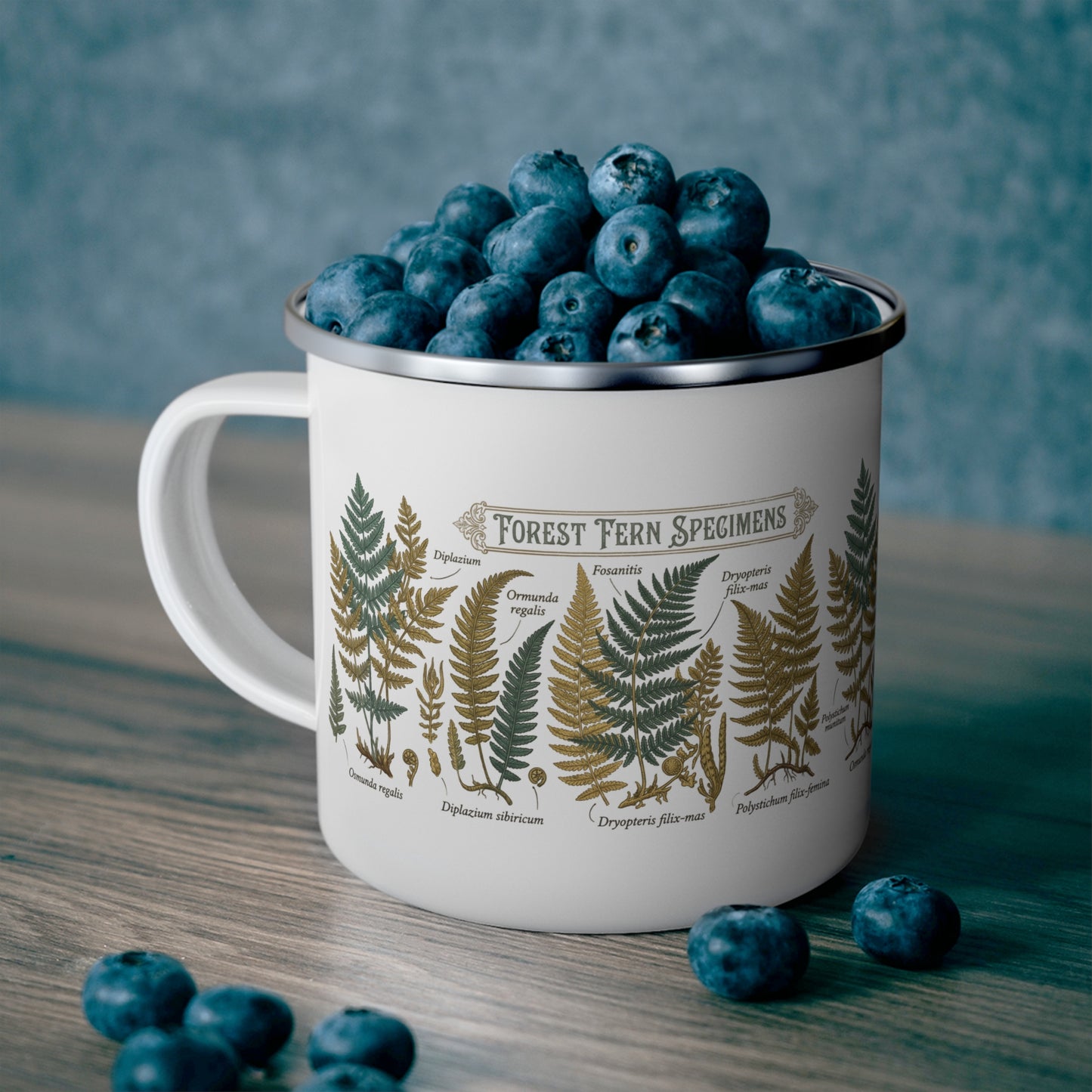 Forest Fern Specimens Enamel Camping Mug | Botanical Fern Illustration