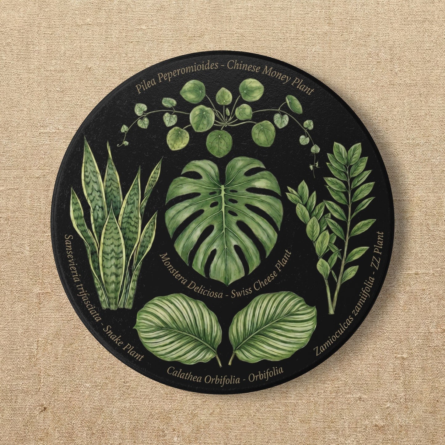 Tropical Houseplants Ceramic Coaster | Monstera, Snake Plant, Pilea, ZZ Plant