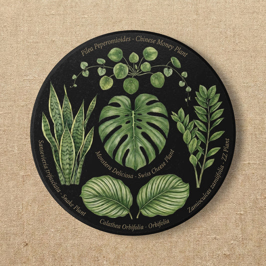 Tropical Houseplants Ceramic Coaster | Monstera, Snake Plant, Pilea, ZZ Plant