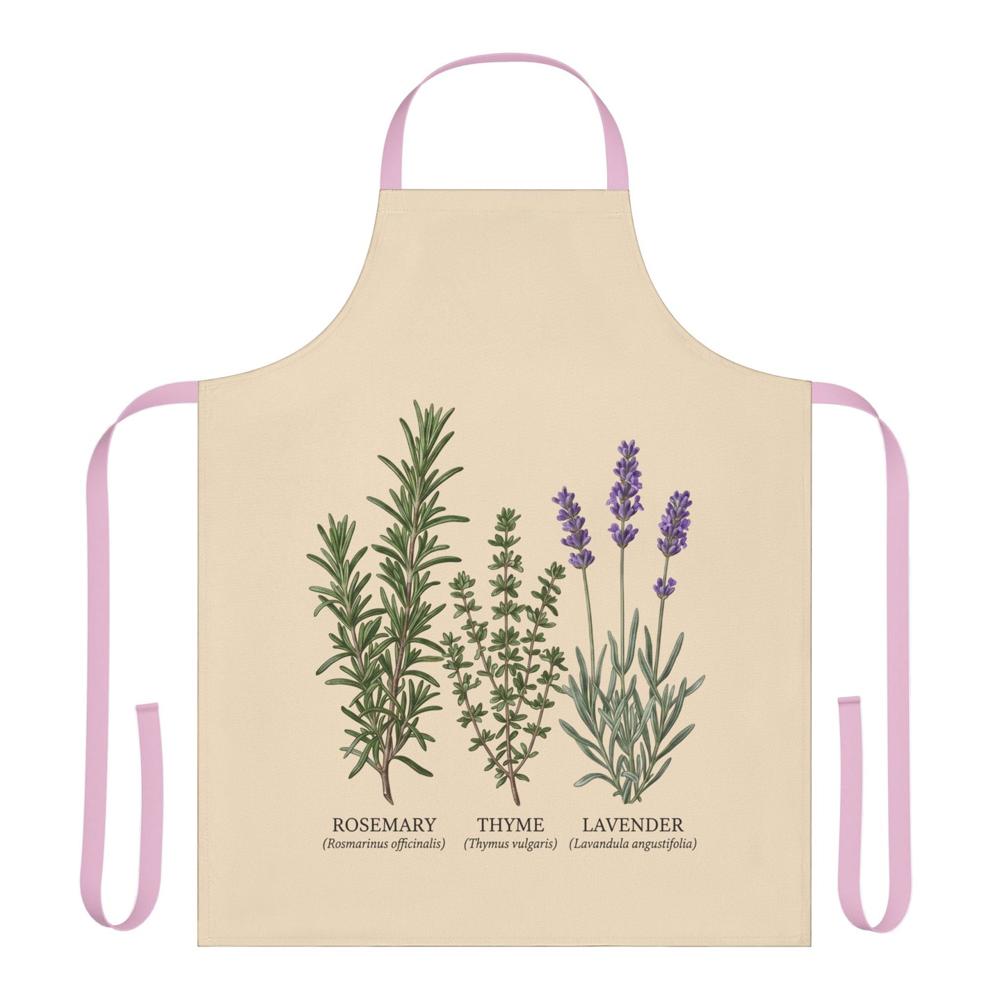 Rosemary Thyme Lavender Apron | Kitchen Herbs Illustration