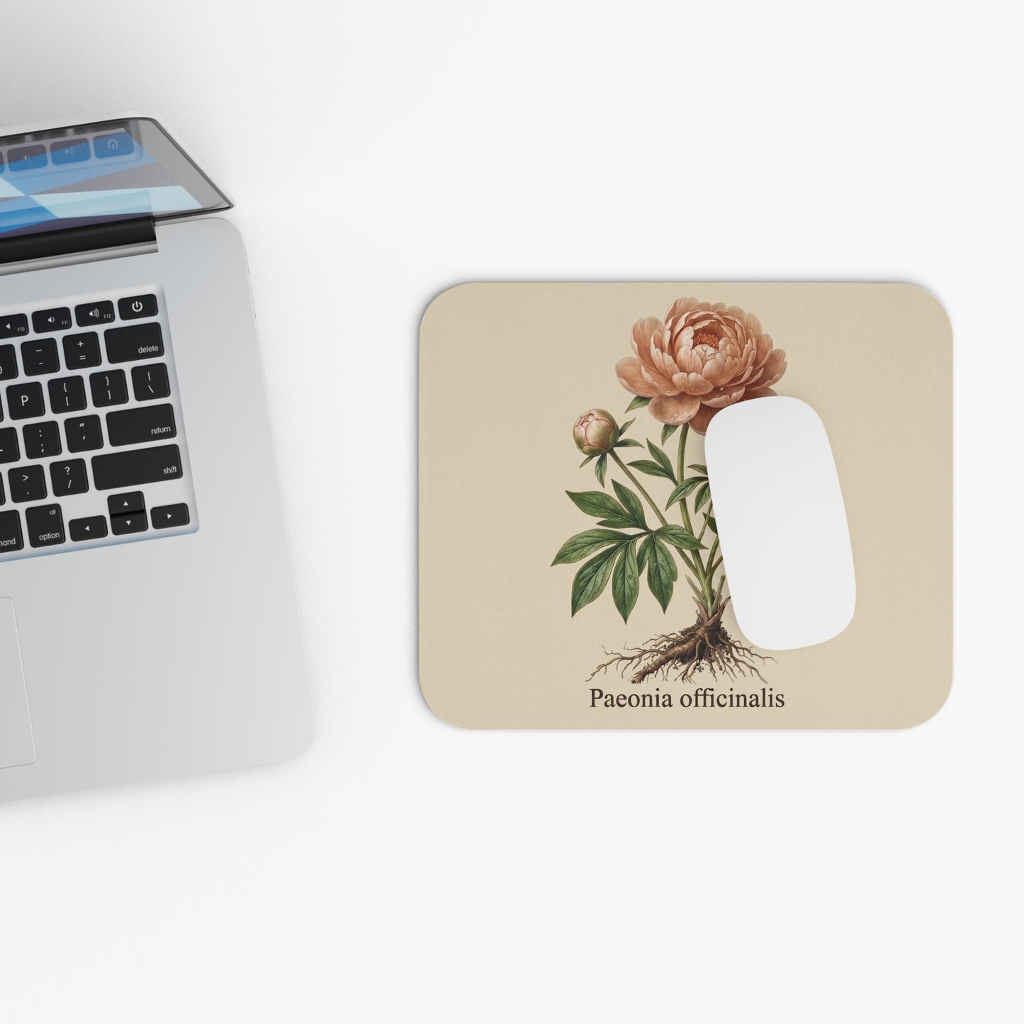 Vintage Peony Botanical Illustration Mouse Pad | Paeonia officinalis