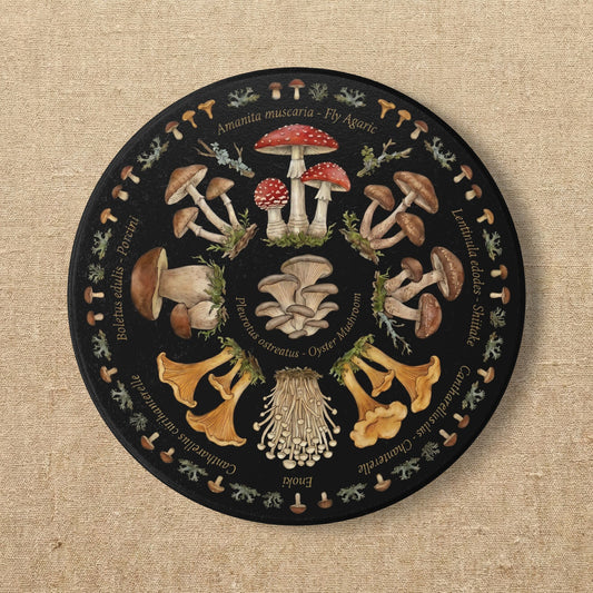 Mushroom Ceramic Coaster | Vintage Botanical Coaster | Dark Cottagecore Decor | Nature Lover Gift | Round Black Absorbent Drink Coaster