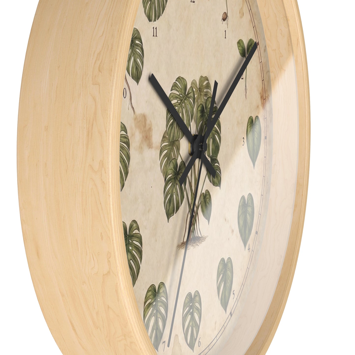 Vintage Monstera Leaf Illustration Wall Clock | Botanical Plant Chart