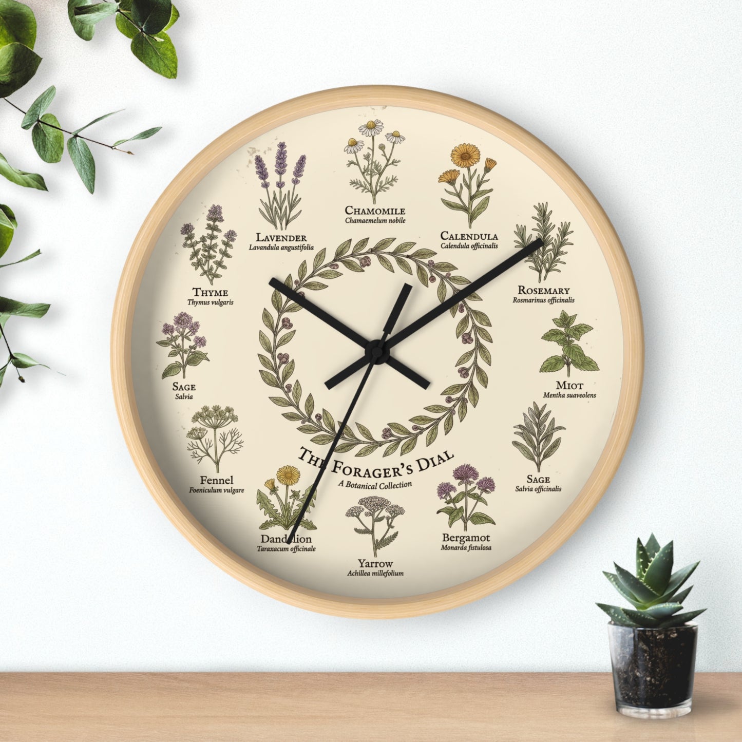 Forager's Dial Botanical Herb Illustration Wall Clock | Lavender, Chamomile, Rosemary