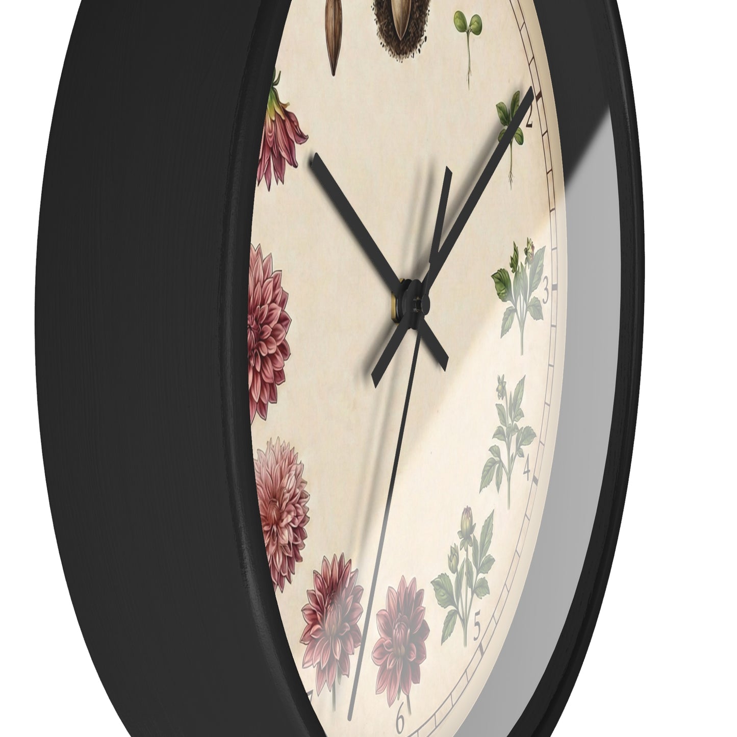 Vintage Botanical Dahlia Clock | Floral Wall Clock, Seed to Bloom Illustration
