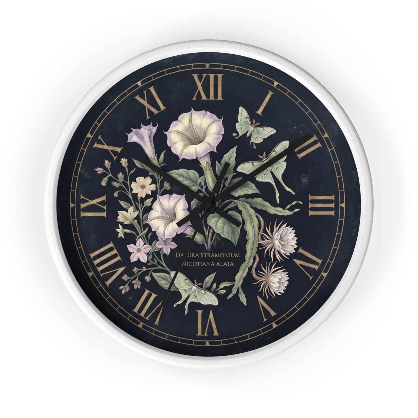 Datura Stramonium Illustration  Wall Clock | Vintage Botanical Floral, Roman Numerals, Dark Background