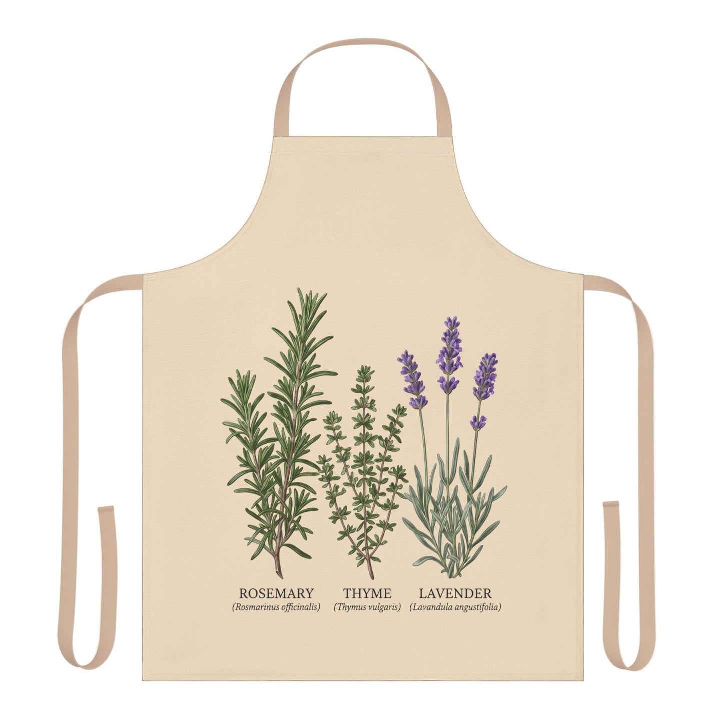 Rosemary Thyme Lavender Apron | Kitchen Herbs Illustration