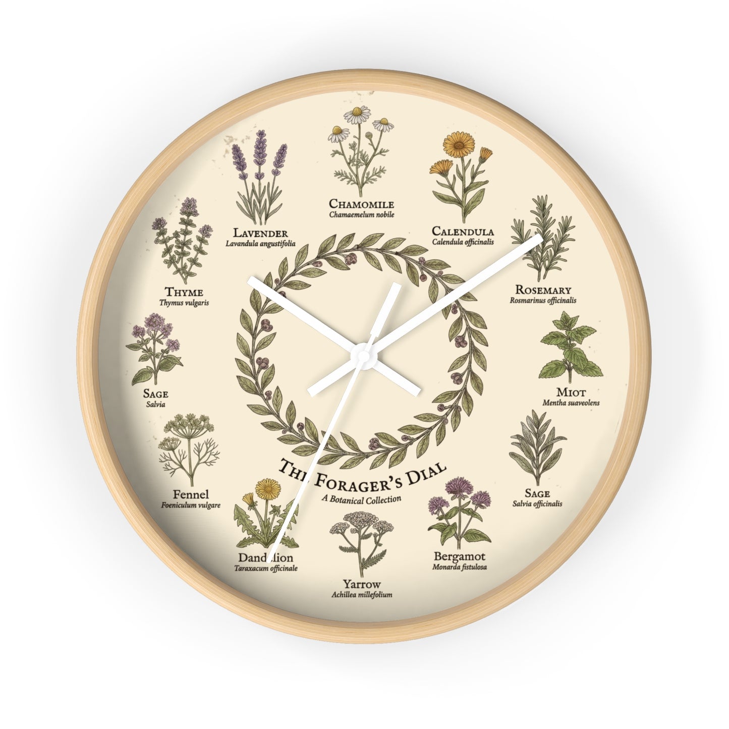 Forager's Dial Botanical Herb Illustration Wall Clock | Lavender, Chamomile, Rosemary