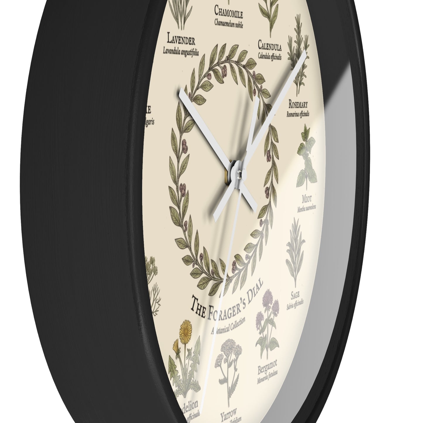 Forager's Dial Botanical Herb Illustration Wall Clock | Lavender, Chamomile, Rosemary