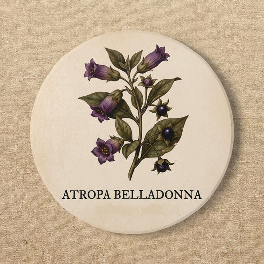 Belladonna Coaster | Dark Academia Botanical Ceramic Drink Mat | Gothic Gift for Book Lover | Vintage Herbology Desk Decor