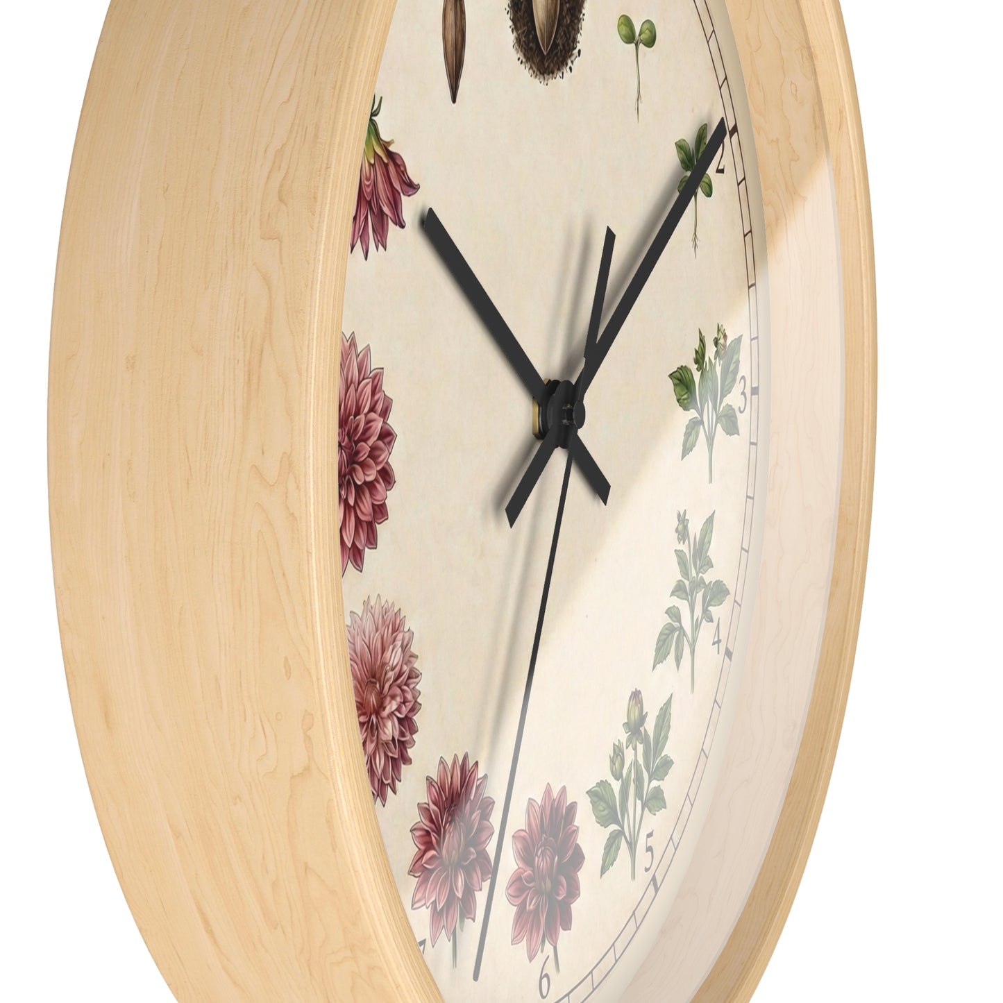 Vintage Botanical Dahlia Clock | Floral Wall Clock, Seed to Bloom Illustration