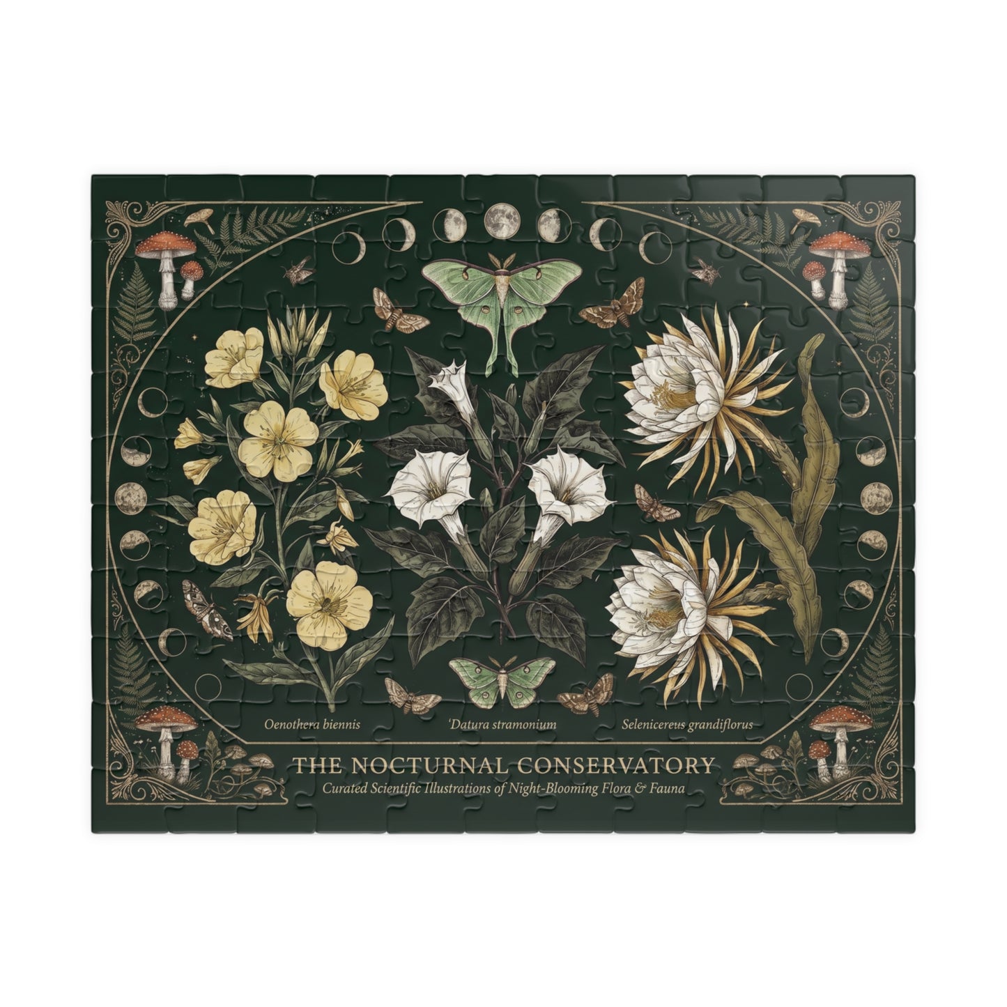 Nocturnal Conservatory Botanical Illustration Puzzle | Floral Moths 110, 252, 520 or 1014 pcs