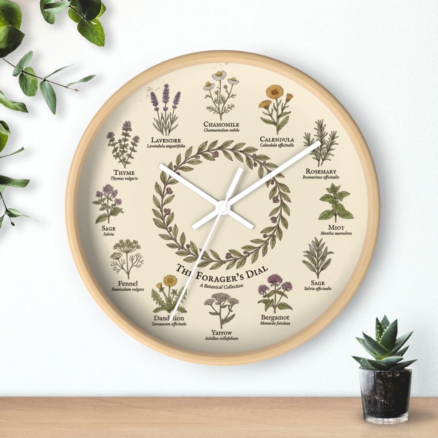 Forager's Dial Botanical Herb Illustration Wall Clock | Lavender, Chamomile, Rosemary