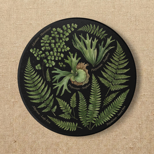 Vintage Fern Botanical Ceramic Coaster | Cork Back