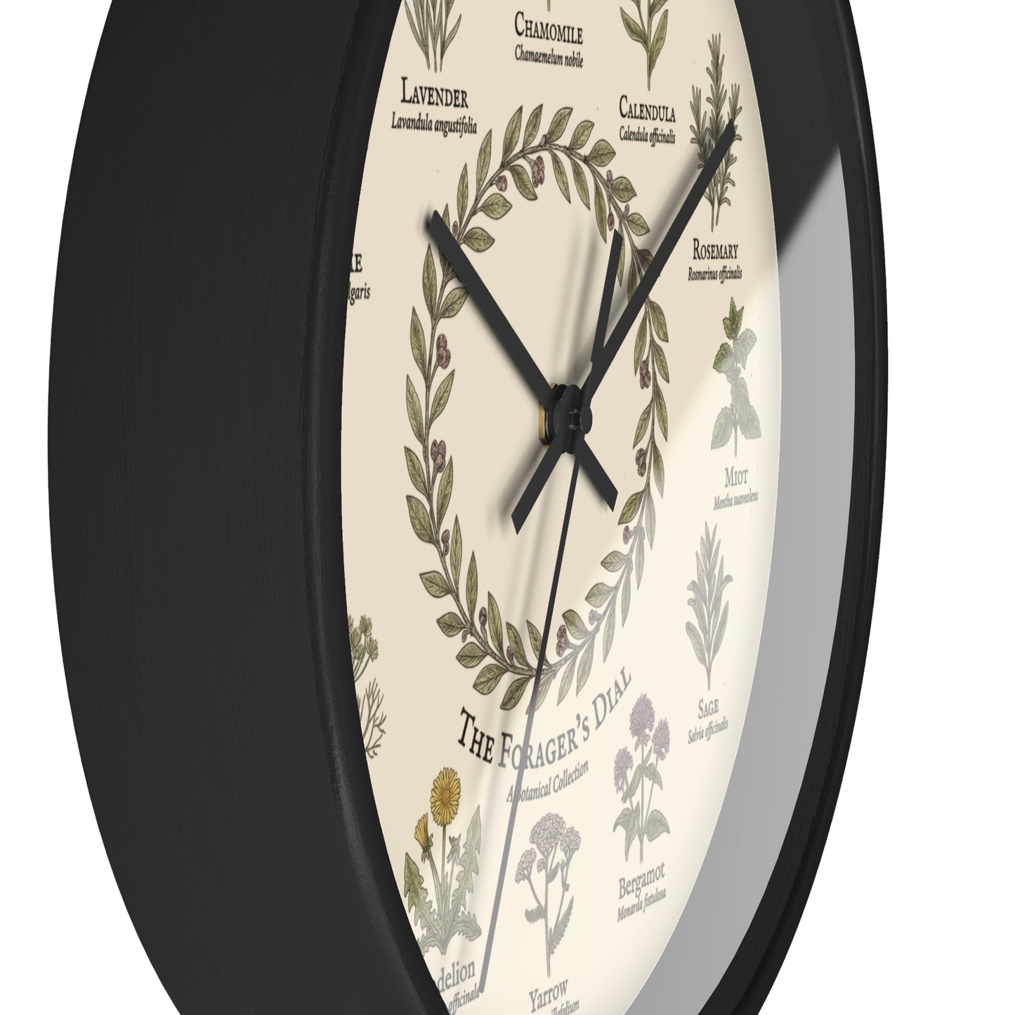 Forager's Dial Botanical Herb Illustration Wall Clock | Lavender, Chamomile, Rosemary