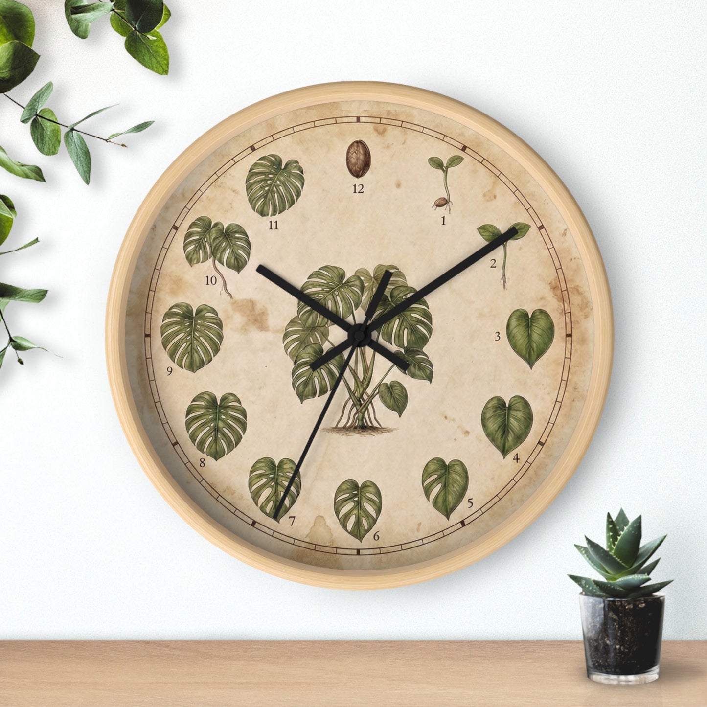 Vintage Monstera Leaf Illustration Wall Clock | Botanical Plant Chart