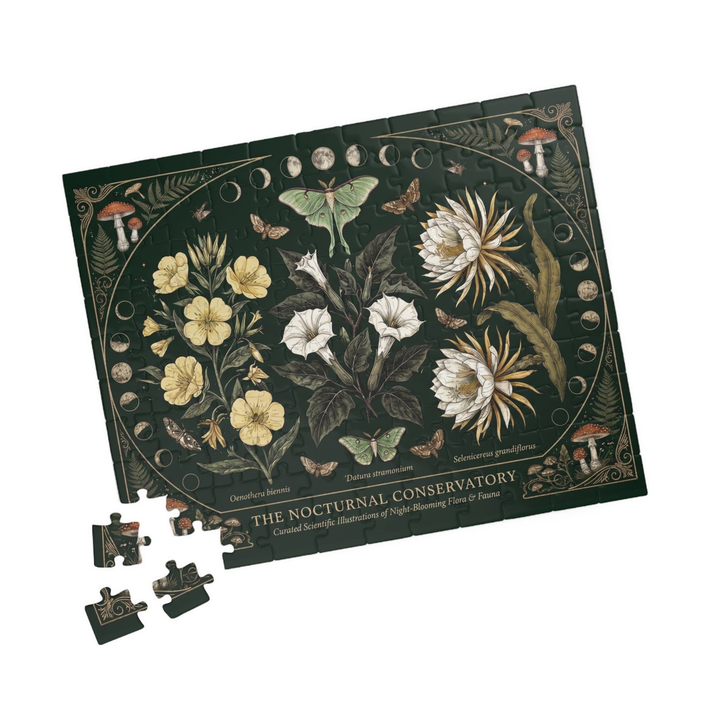 Nocturnal Conservatory Botanical Illustration Puzzle | Floral Moths 110, 252, 520 or 1014 pcs