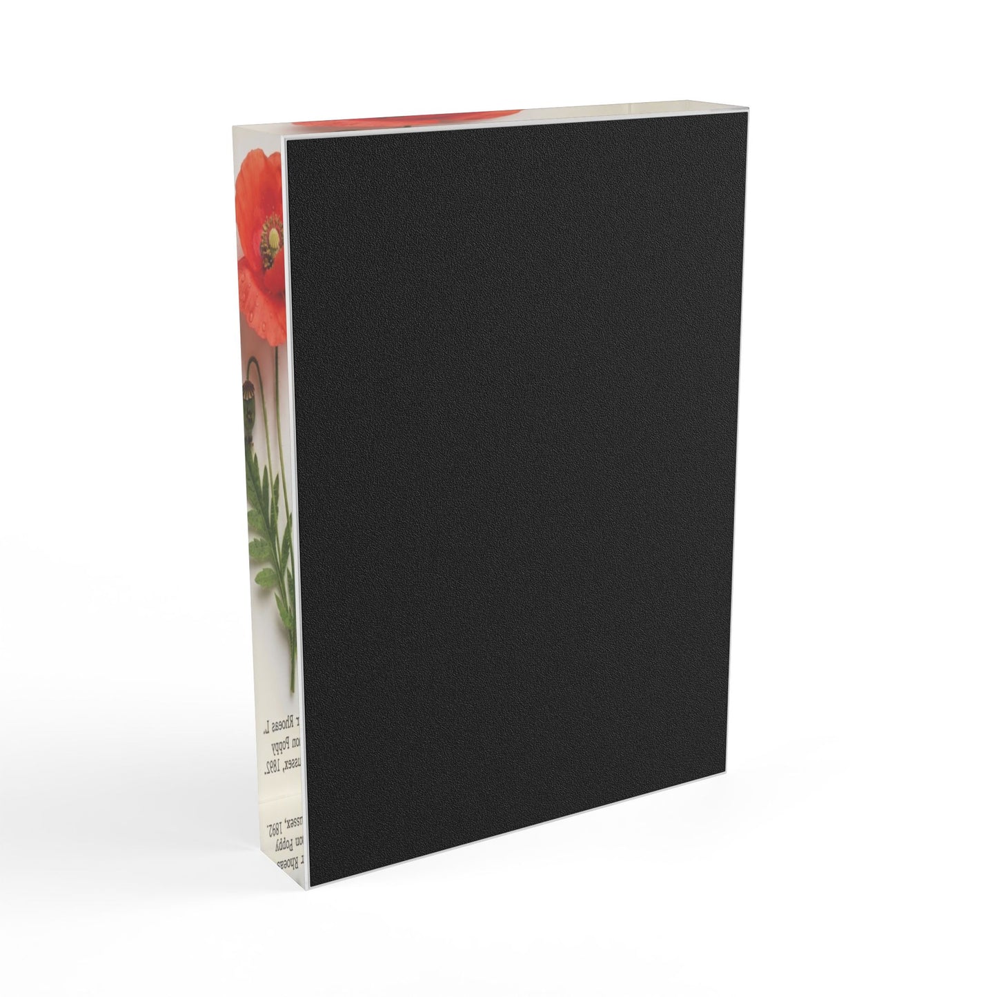 Vintage Red Poppy Illustration Acrylic Photo Block | Botanical Art