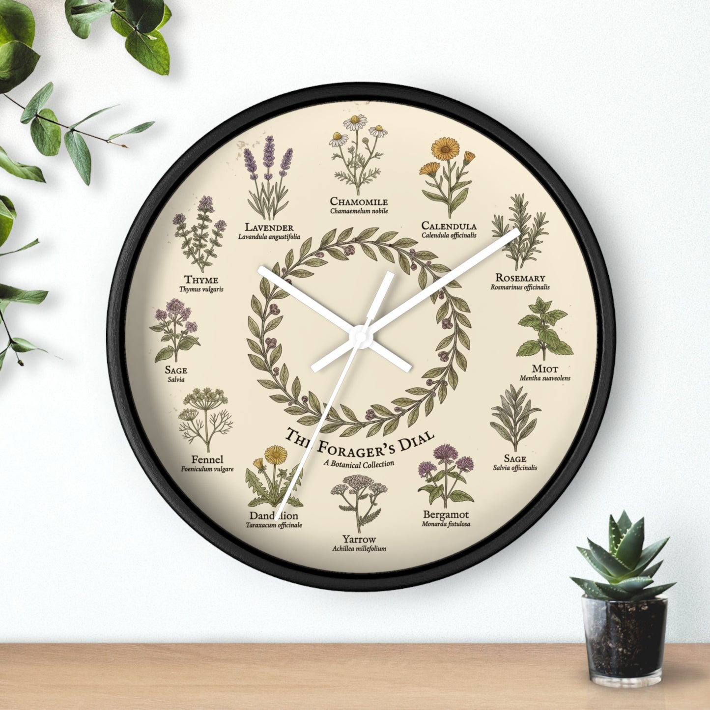 Forager's Dial Botanical Herb Illustration Wall Clock | Lavender, Chamomile, Rosemary