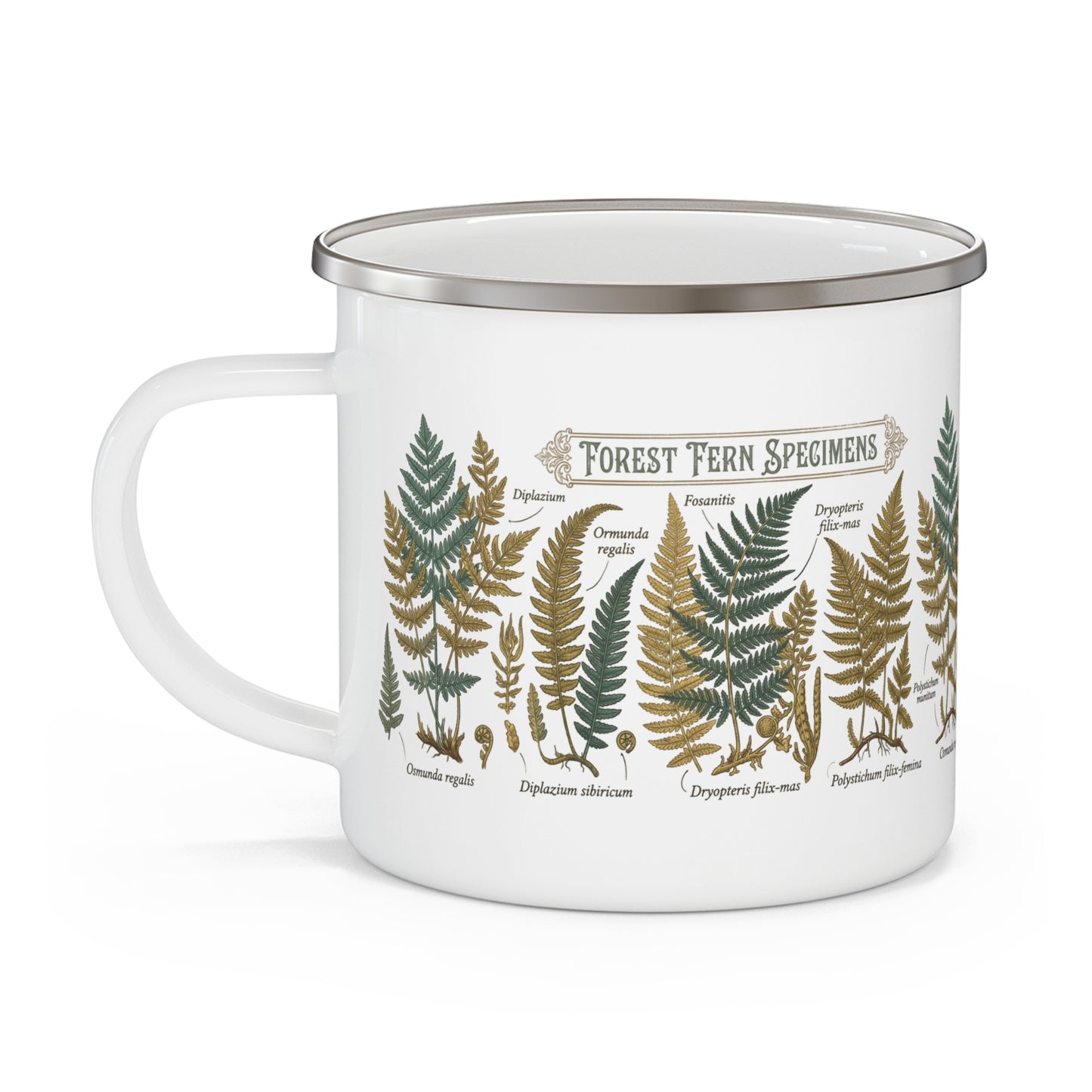 Forest Fern Specimens Enamel Camping Mug | Botanical Fern Illustration