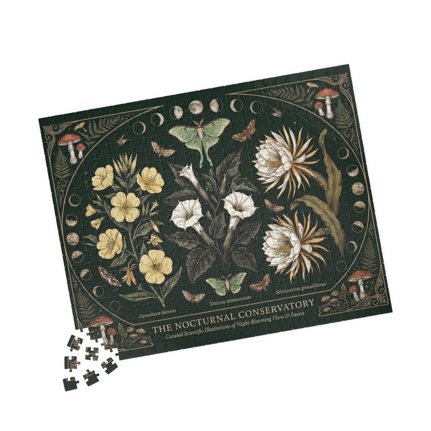 Nocturnal Conservatory Botanical Illustration Puzzle | Floral Moths 110, 252, 520 or 1014 pcs