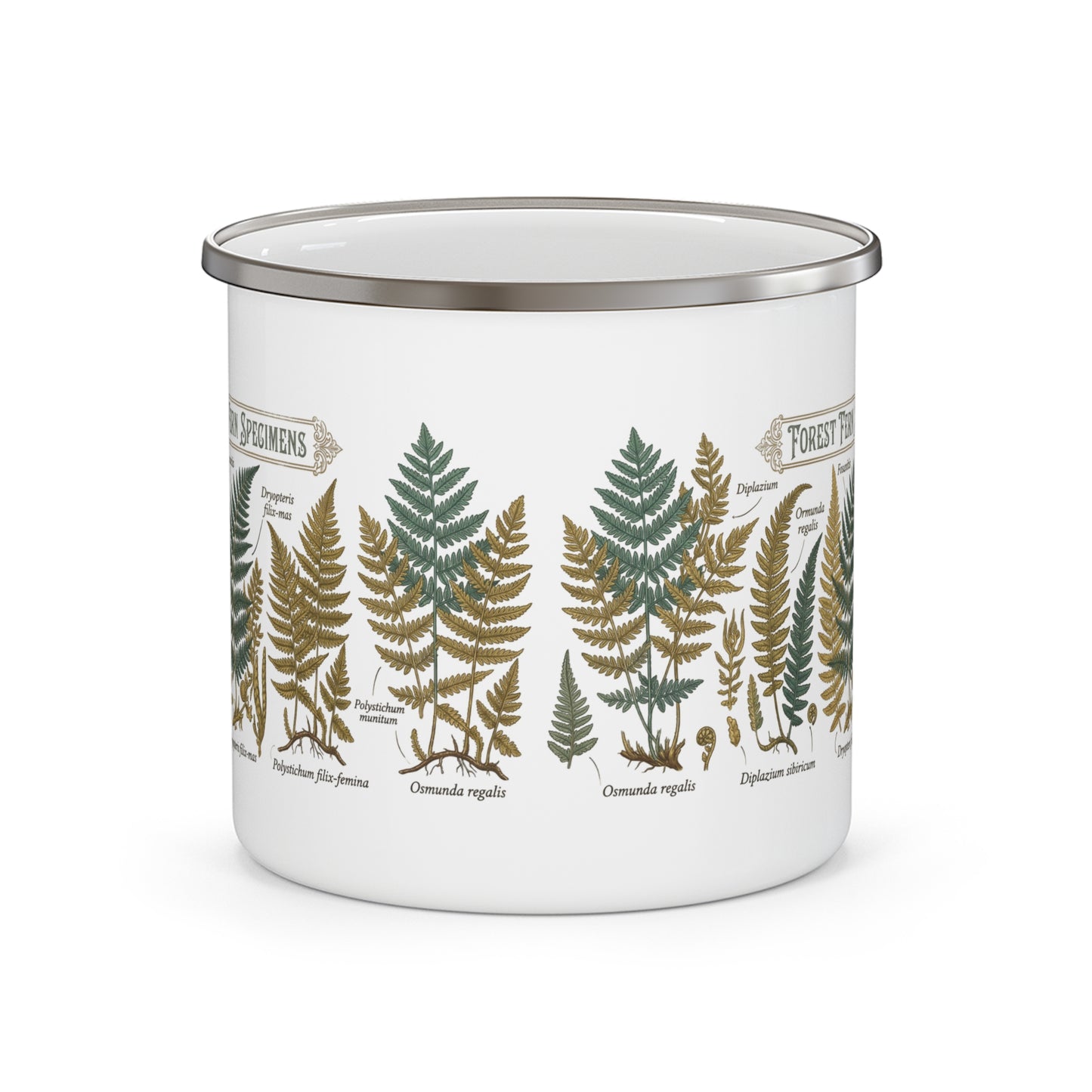 Forest Fern Specimens Enamel Camping Mug | Botanical Fern Illustration