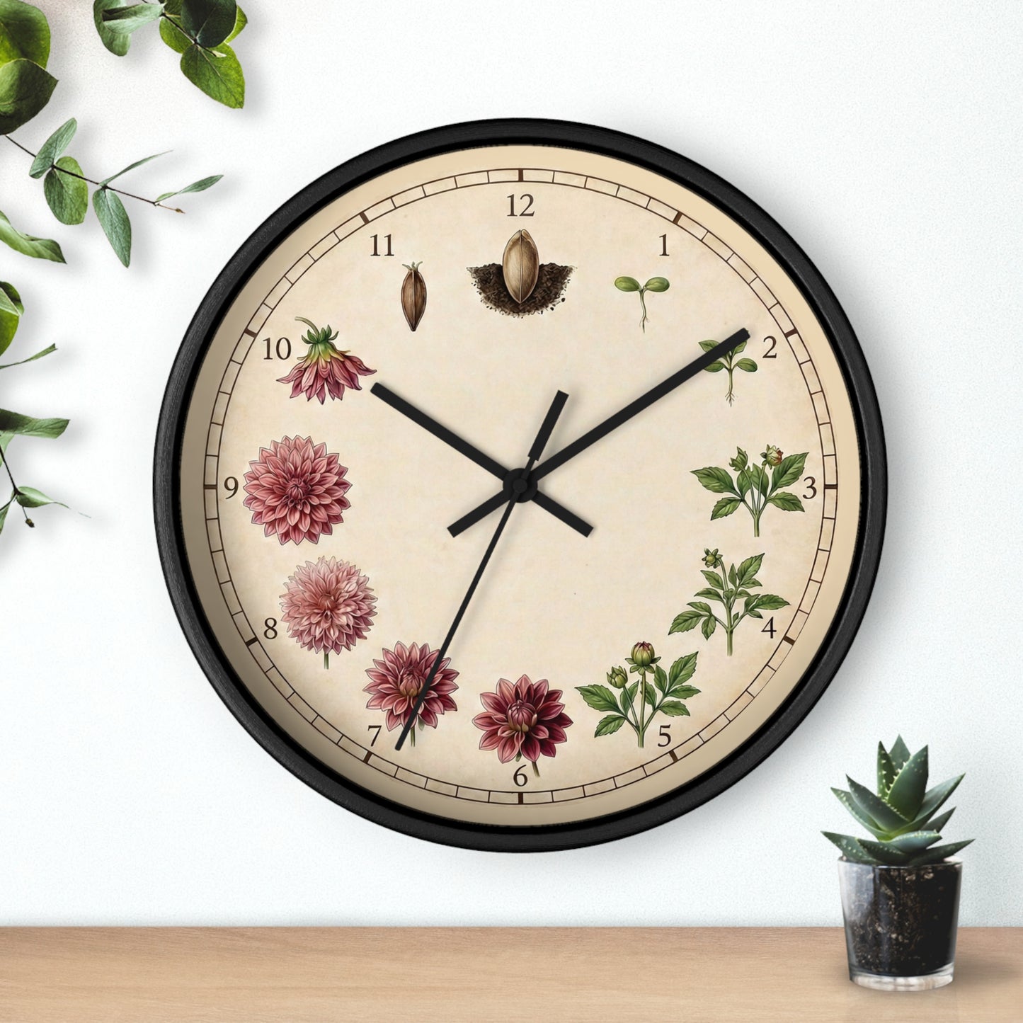 Vintage Botanical Dahlia Clock | Floral Wall Clock, Seed to Bloom Illustration