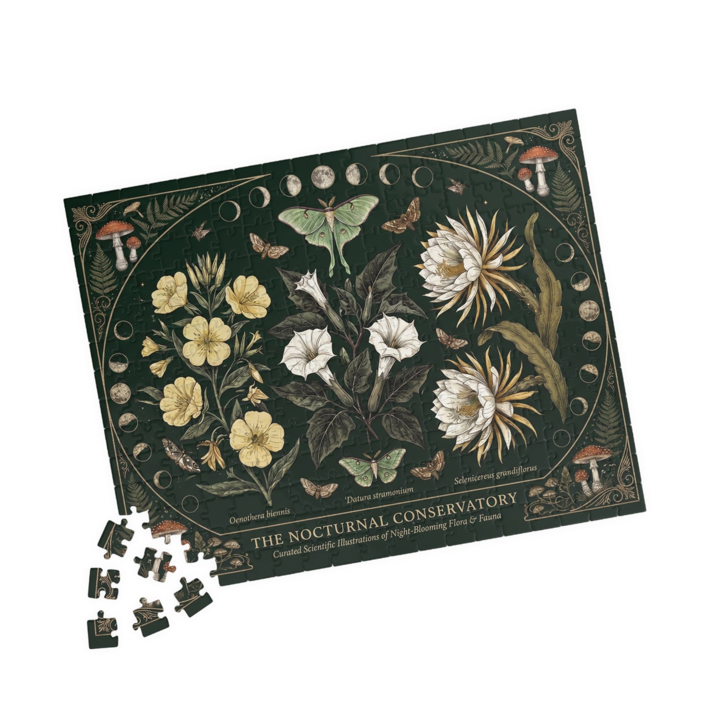 Nocturnal Conservatory Botanical Illustration Puzzle | Floral Moths 110, 252, 520 or 1014 pcs
