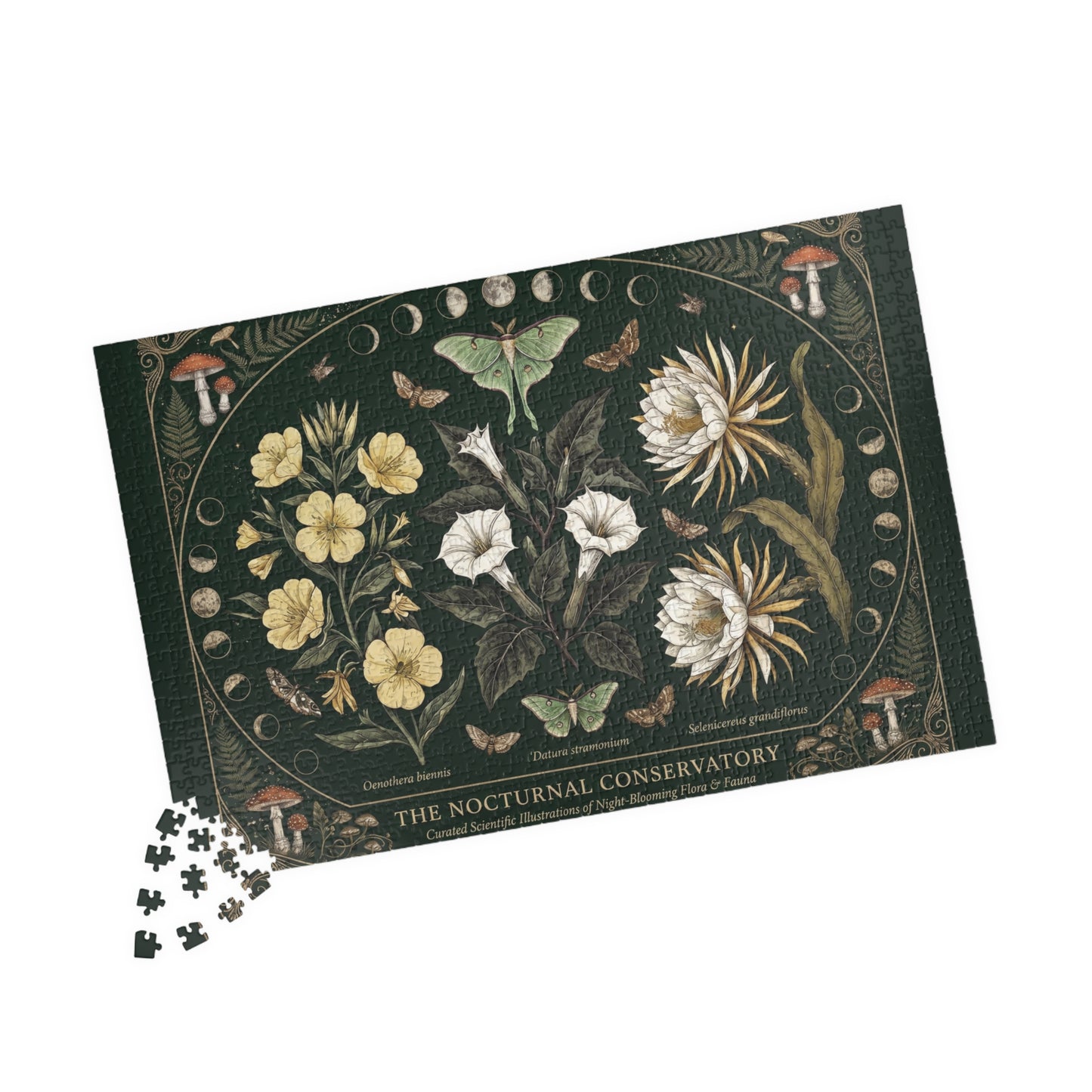 Nocturnal Conservatory Botanical Illustration Puzzle | Floral Moths 110, 252, 520 or 1014 pcs