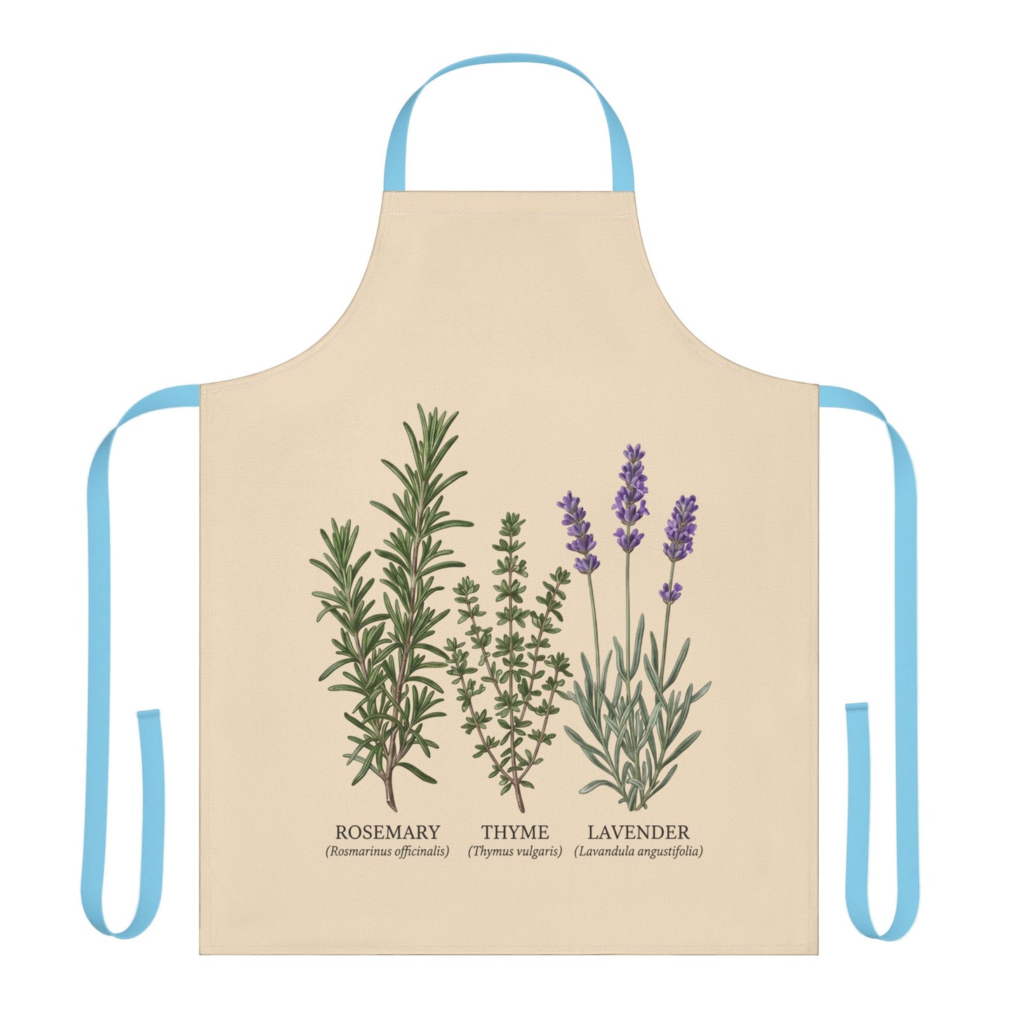 Rosemary Thyme Lavender Apron | Kitchen Herbs Illustration