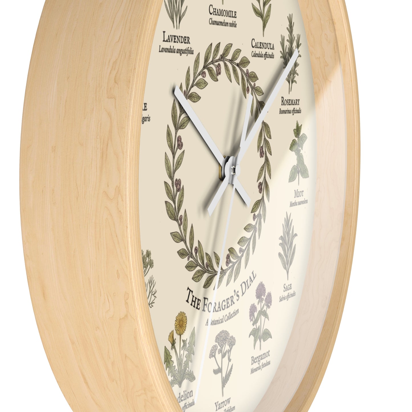 Forager's Dial Botanical Herb Illustration Wall Clock | Lavender, Chamomile, Rosemary