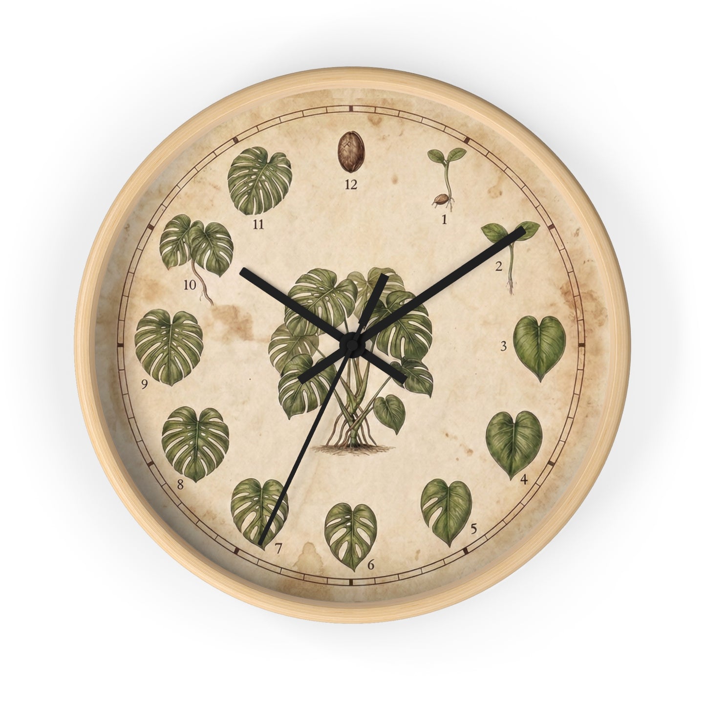 Vintage Monstera Leaf Illustration Wall Clock | Botanical Plant Chart