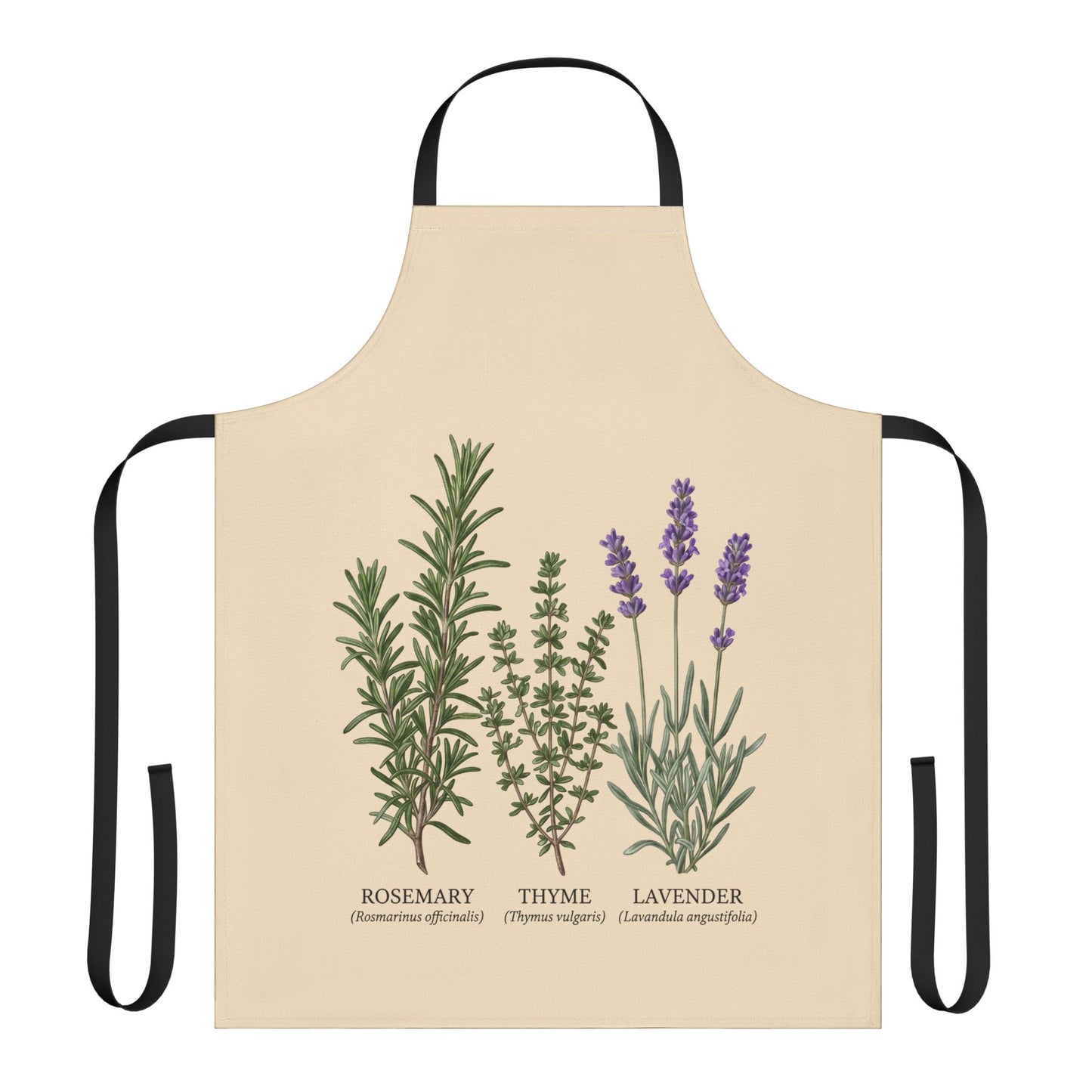 Rosemary Thyme Lavender Apron | Kitchen Herbs Illustration