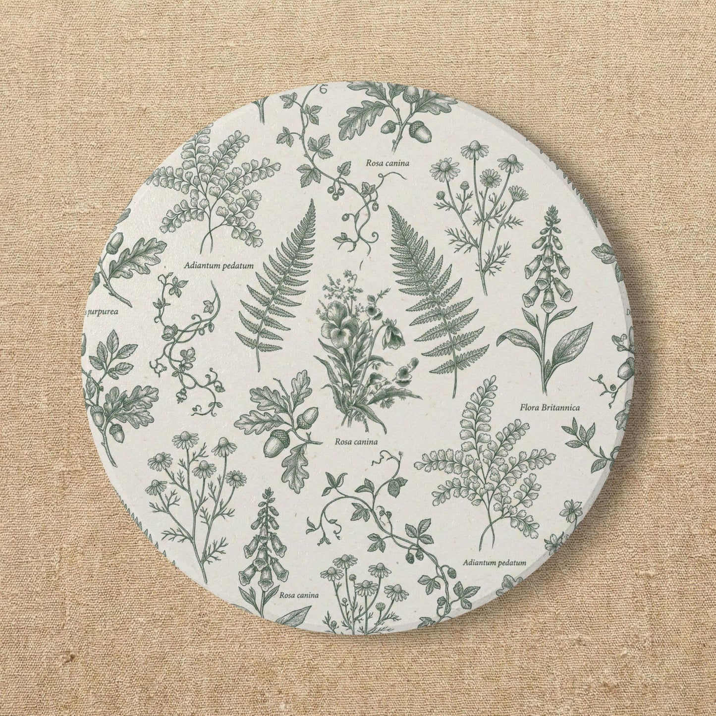 Botanical Herb Pattern Ceramic Coaster | Green Ferns & Wildflowers