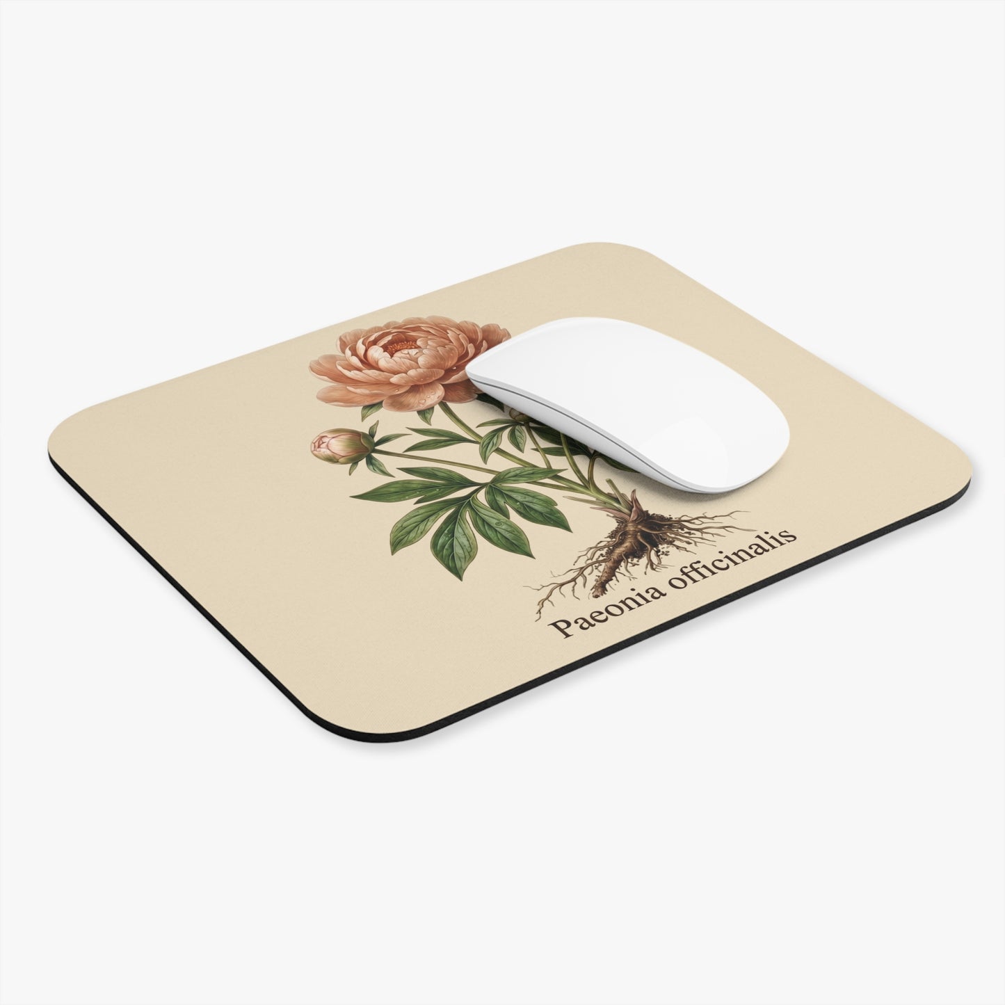 Vintage Peony Botanical Illustration Mouse Pad | Paeonia officinalis