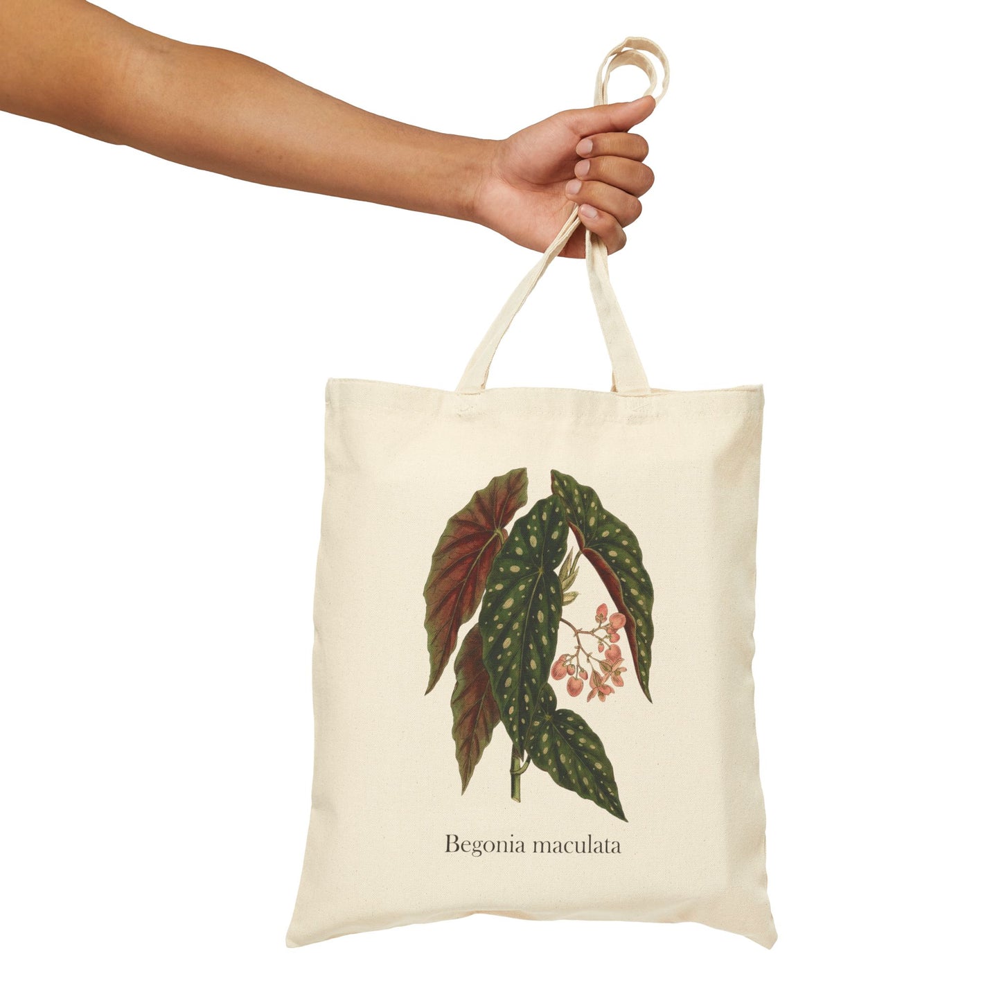 Begonia maculata Botanical Tote Bag | Polka Dot Begonia Illustration
