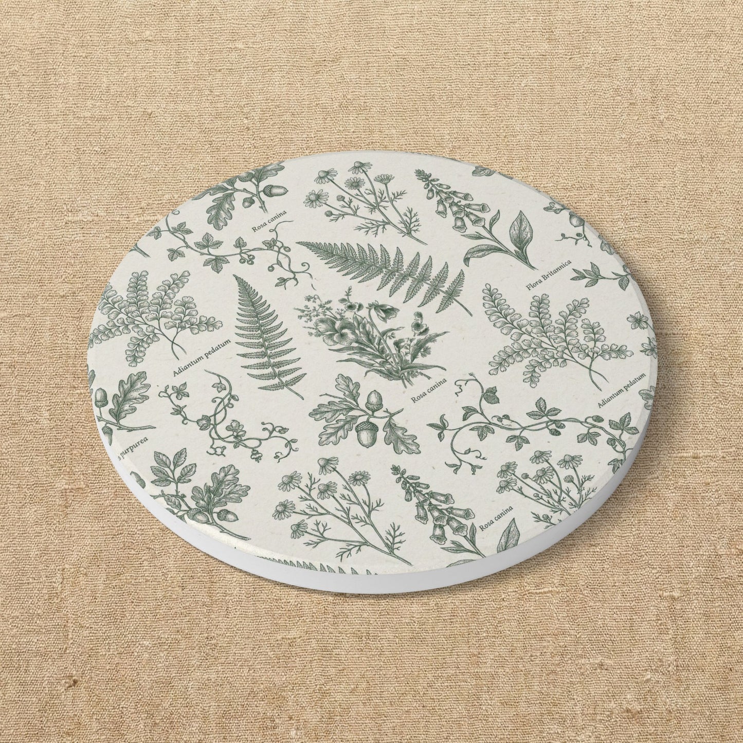 Botanical Herb Pattern Ceramic Coaster | Green Ferns & Wildflowers