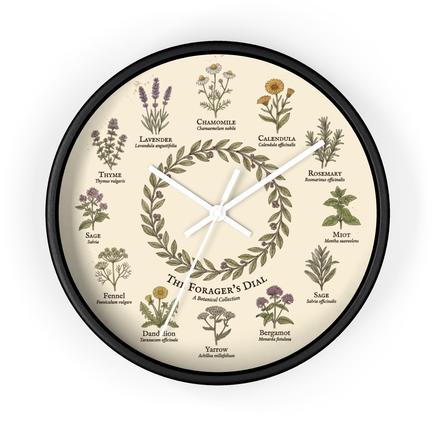 Forager's Dial Botanical Herb Illustration Wall Clock | Lavender, Chamomile, Rosemary