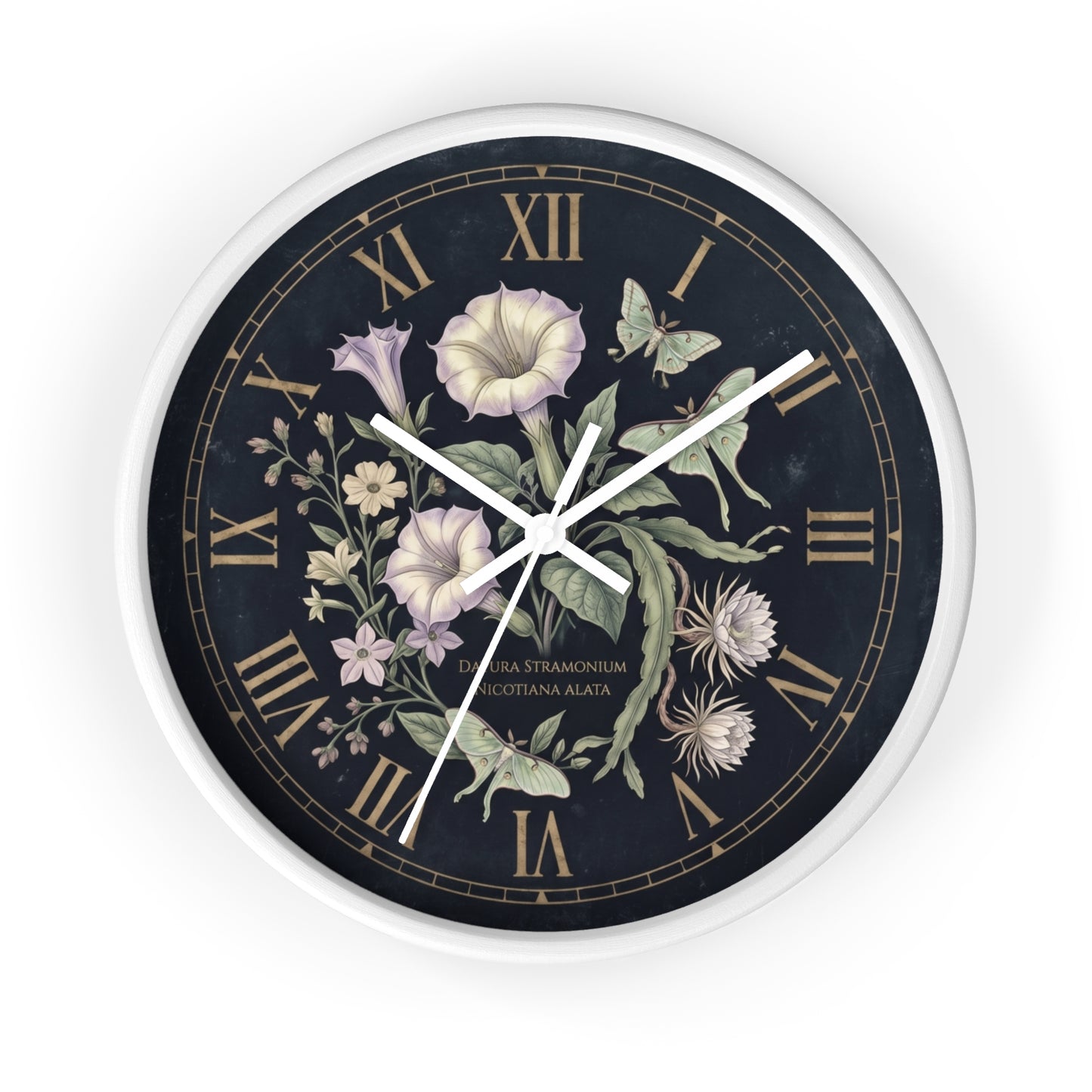 Datura Stramonium Illustration  Wall Clock | Vintage Botanical Floral, Roman Numerals, Dark Background