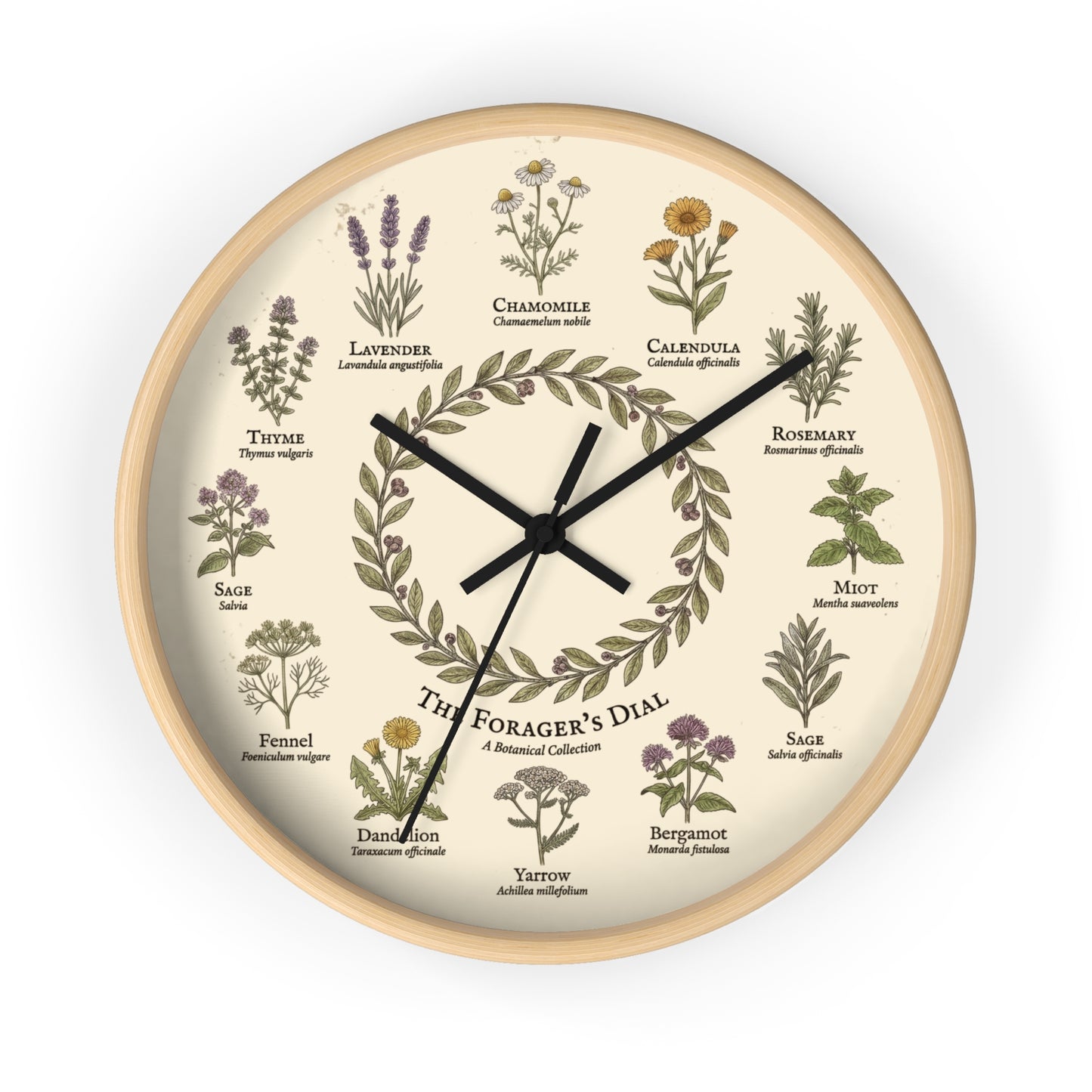Forager's Dial Botanical Herb Illustration Wall Clock | Lavender, Chamomile, Rosemary